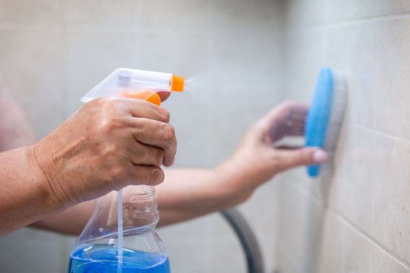 Tile And Grout Cleaning detail